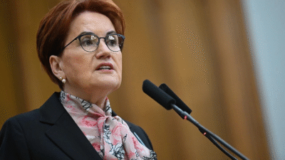 Meral Akşener Kimdir