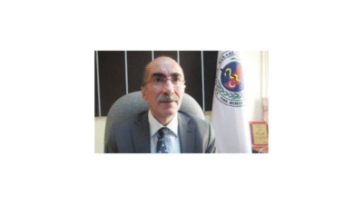 Remzi Arslan Kimdir?